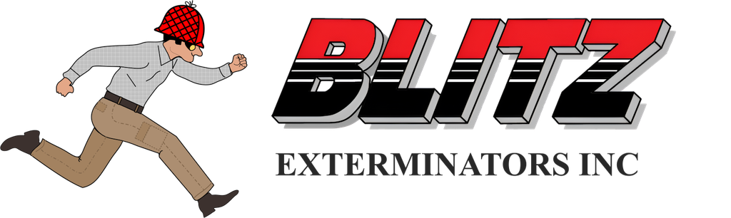 blitz logo